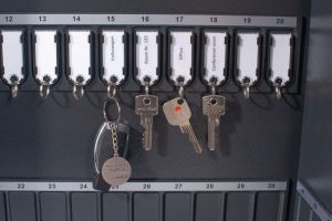 Pavo Magnettag sleutelhanger, pak van 10 stuks, assorti