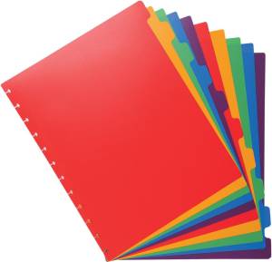 Exacompta uitneembare tabbladen voor showalbum met ringen, in gekleurd PP, 10 tabs