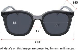 Silac Sun zonnebril Black Transparent, zwart