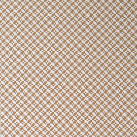 Papier cadeau, 70 cm x 2 m, Geo Spring