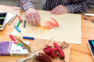 Talens Art Creation softpastels, doos met 12 stuks in geassorteerde kleuren