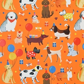 Papier cadeau, 70 cm x 2 m, enfants, 10 motifs