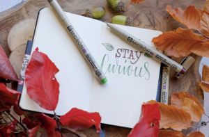 Sakura schetsboek, 140 g/m&sup2;, ft 9 x 14 cm, wit, 80 vel