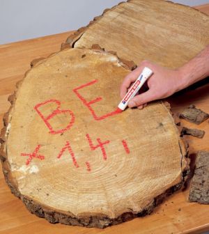 Edding Industry Painter e-950 rood