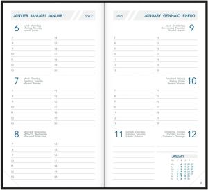 Aurora Visuplan 20 Seta, couleurs assorties, 2026