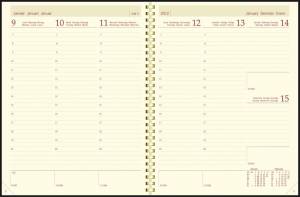 Aurora Business 29P Alaska, geassorteerde kleuren, 2026