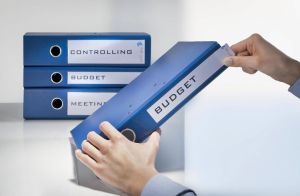 Zweck Printbare insteekkaarten voor ordnerrug ft 5,4 x 19 cm, rug van 8 cm, 125 stuks