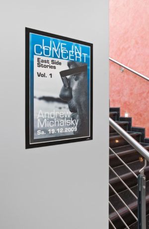 Durable Duraframe zelfklevend en flexibel kader ft A3, zwart, 2 stuks