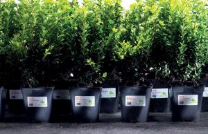 Avery Zweckform J4773-10 weerbestendige etiketten ft 63,5 x 33,9 mm (b x h), 2.400 etiketten, wit