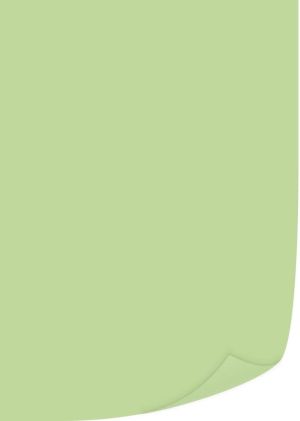 Q-CONNECT papier reprographique couleur, A4, 80g, paquet de 500 feuilles, vert clair