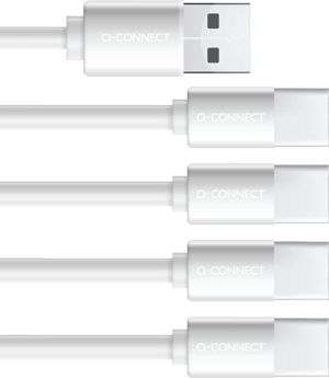 Q-CONNECT USB-C herlaadbare batterijen AA, blister van 4 stuks