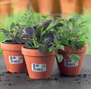 Avery afneembare weerbestendige etiketten Ft 63,5 x 33,9 mm (b x h), wit, doos van 480 etiketten