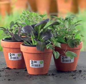 Avery afneembare weerbestendige etiketten Ft 99,1 x 42,3 mm (b x h), wit, doos van 240 etiketten