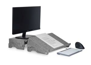 Monitorstandaard-GerecycleerdeMonitorstandaard-BakkerElkhuizen-DBS-BNEQR110CLGY_u_04-8