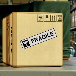 Brother beletteringsysteem QL-600B