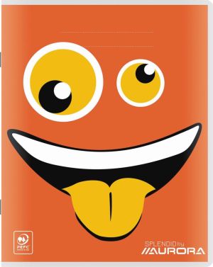 Splendid cahier, 72 pages, ft 16,5 x 21 cm, quadrill&eacute; 10 mm