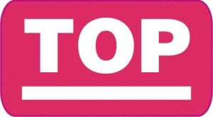 Aurora memoblok, 2026