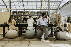 Vluv Sova zitbal Pesto 65cm