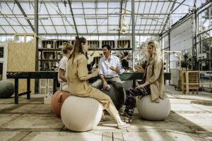 Vluv Sova zitbal Pesto 65cm