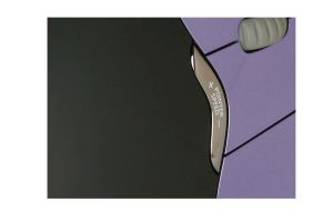 Verticale muis evoluent