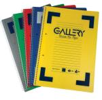Gallery cahier RELIURE SPIRALE 80G160 PA