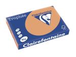 Clairefontaine Papier Trophée CARAMEL A3