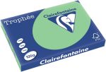 Clairefontaine Trophée Pastel, A3,120g, 