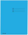 Esselte PAQ.100 X chemise bleu 180G.A4