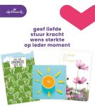 Hallmark navulset wenskaarten, beterscha