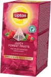 Lipton thee, Bosvruchten, ExclusiveSelec