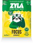 Spa Zyla energiedrank Focus, citrus,  25