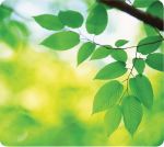 Fellowes tapis souris Earth Series,feuil