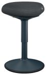 Leitz Ergo actieve Zitkruk met comfortzi