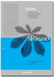 Splendid Cursusblok A4 70G commercieel 1