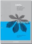 Splenid Cursusblok A4 70G, gelijnd,met m