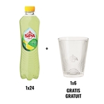 ACTION SPA: 1 x Fruit Sparkling lemon-cactus, 40 cl, 24 pièces + GRATUIT 1 x Spa Fruit verre, 6 verres